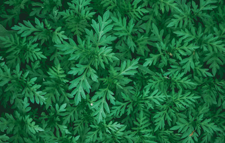 Green leaves background. Green leaves background. Green leaves texture background.の写真素材