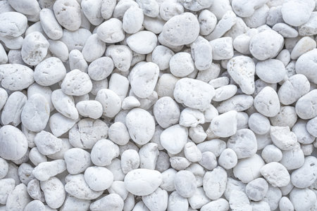 White stone texture background. Close up of white pebbles.の写真素材