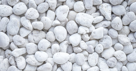 White pebbles background. White pebbles background texture.の写真素材
