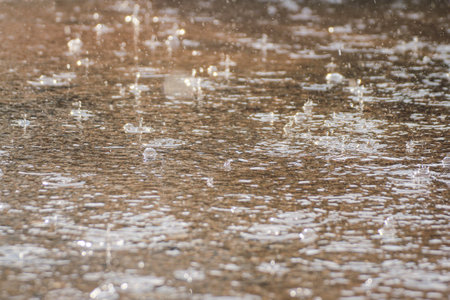 Raindrops on the asphalt, close-up. Abstract background.