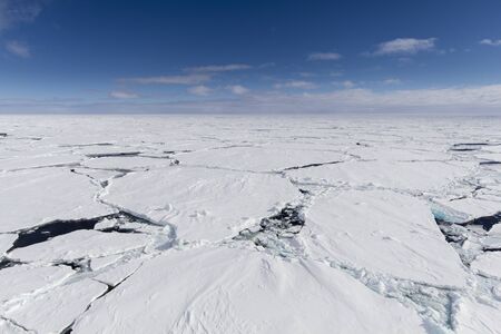 Ice floe with large cracks