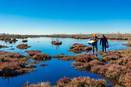 Gippsland, Victoria/Australia â June 26, 2019: Scientists returning from a wetland with samples collected to assess the health and carbon sequestration capacity of the ecosystem.のeditorial素材