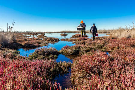 Gippsland, Victoria/Australia â€“ June 26, 2019: Scientists returning from a wetland with...
