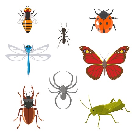 Insect icon setのイラスト素材