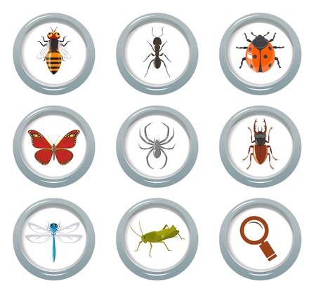 Insect icons setのイラスト素材