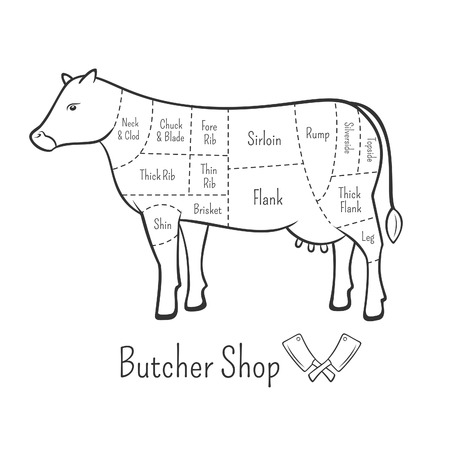 British cuts of beef diagram and butchery design elementのイラスト素材