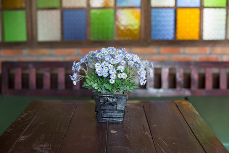 colorful flowers pots decoration on wooden table with colorful glassの写真素材