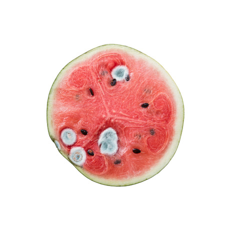 mould on half of watermelon isolated on white background.の写真素材