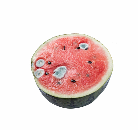 mould on half of watermelon isolated on white background.の写真素材