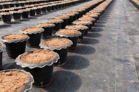 pots ready to be used for planting の写真素材