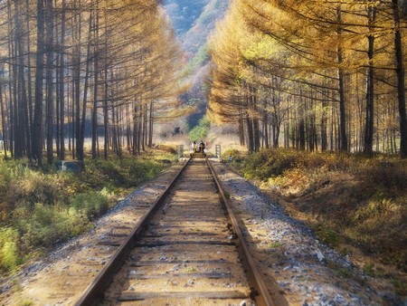 Korean Fall Colorの写真素材