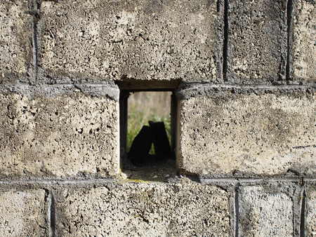 Stone wall with a hole which can be used as backgroundの写真素材