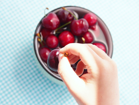 Cherries in a ceramic bowl on checkered table cloth with  hand of a child keeping one of the cherries, top viewの写真素材
