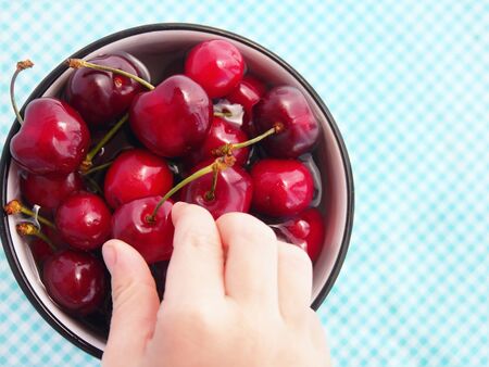 Cherries in a ceramic bowl on checkered table cloth with  hand of a child keeping one of the cherries with his fingers, selective focusの写真素材