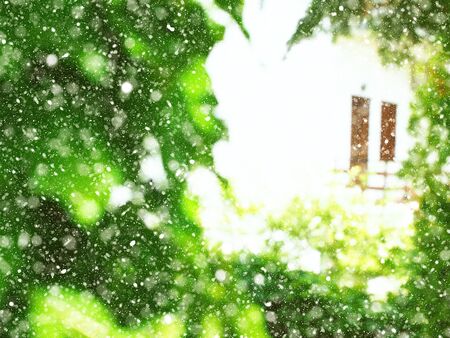 Unfocused green tree branches frame with copy space in the middle with white house and doors. Snow fallの写真素材