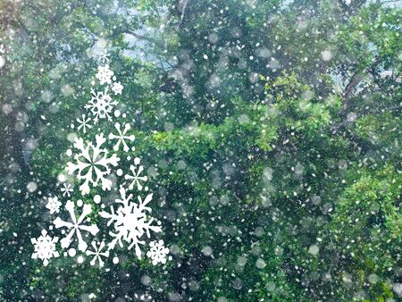 Snow fall in winter forest. Christmas new year magic. Fir tree green branches detail.の写真素材