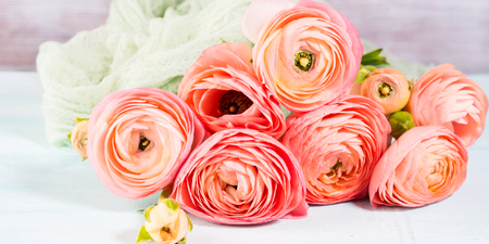 Beautiful pink ranunculus bouquet on turquoise background. Woman mother's day wedding. Holiday elegant bunch of flowers. Bannerの写真素材