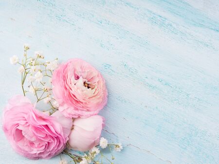 Beautiful pink buttercup frame on turquiose wooden background. Woman mother's day wedding. Holiday...