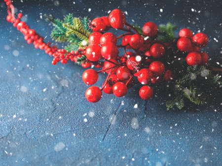 Christmas red branch snow fall greeting card on dark blue background. Toned