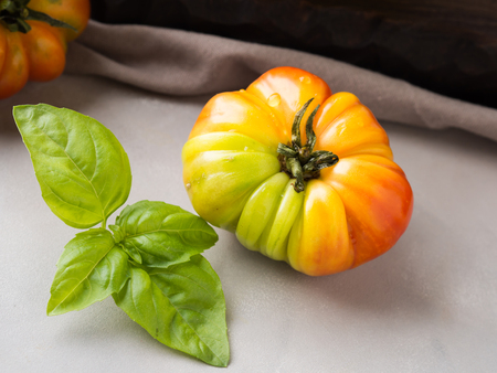 Italian salad tomato with basil on gray table clothの写真素材