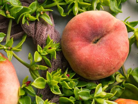Fresh summer fruit concept still life - peaches, apricots and pearsの写真素材