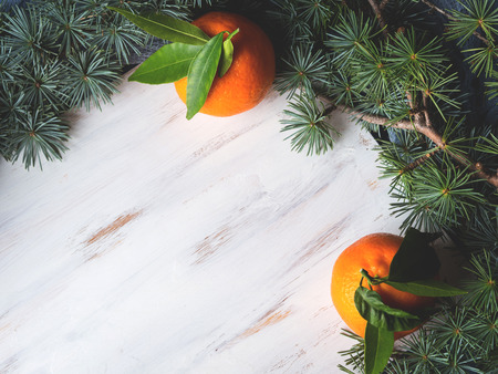 Winter tangerines frame on white rustic wooden board with spruce branchesの写真素材