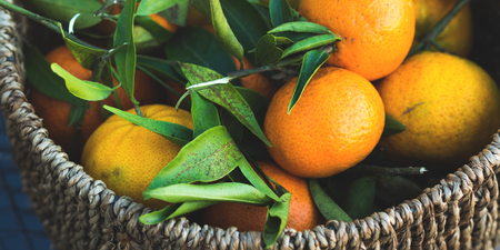 Italian tangerines in a basket outdoors. Fresh harvestの写真素材