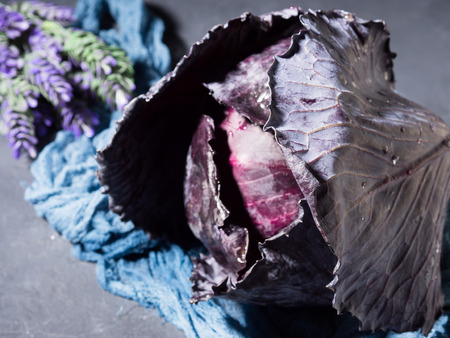 Whole Purple cabbage on dark background with blue textileの写真素材