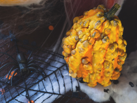 Halloween holiday still life background with squash and decorationsの写真素材