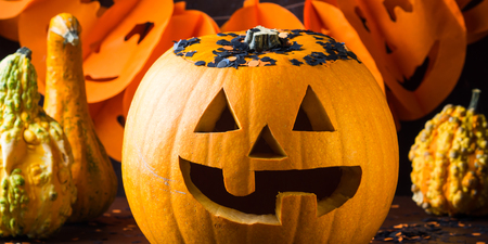 Halloween carved squash and confetti. Dark Holiday spooky background still lifeの写真素材