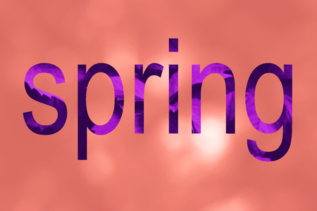 Trendy pink coral color circle bokeh background with word Spring in purple lettersの写真素材