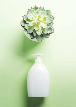 White natural cream soap bottle on pastel green background with succulent plant. Generic beauty care product.の写真素材