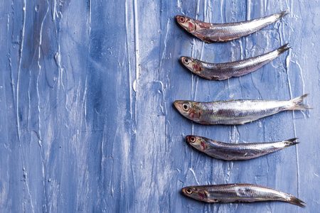 Fish pattern. Fresh anchovies on blue sea effect background. Trendy food conceptの写真素材