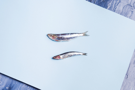 Two fresh anchovies, big ans small, on light blue background.の写真素材