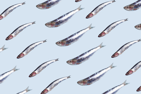 Anchovies fish pattern on trendy blue color background. Food conceptの写真素材