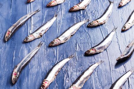 Fish isometric pattern. Fresh anchovies on blue sea effect background. Trendy food conceptの写真素材