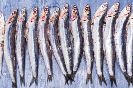Fish pattern. Fresh anchovies on blue sea effect background. Trendy food conceptの写真素材