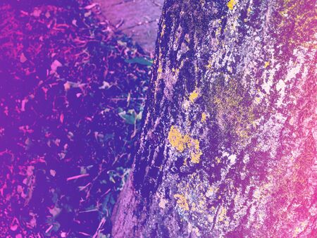 Pink and purple color toned forest tree detail. Neonの写真素材