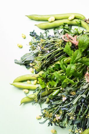Green vegetables and herbs on pastel background. Monochrome. Healthy organic food concept.の写真素材