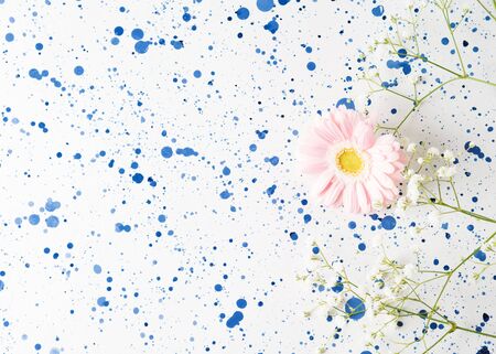 Pink and white flowers. Greeting card for woman's day.