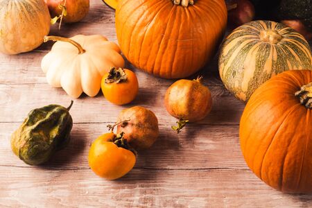 Autumn thanksgiving moody still life with different pumpkins and fall fruit on rustic wooden table.