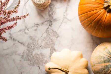 Autumn thanksgiving moody background with different pumpkins, fall fruit and flowers on rustic wooden table. Flat layの写真素材