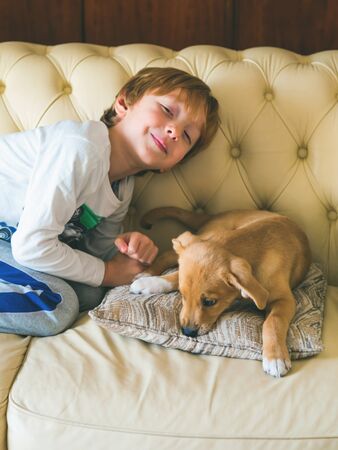 Little blonde boy playing with his recently adopted puppy on couch. New friendの写真素材