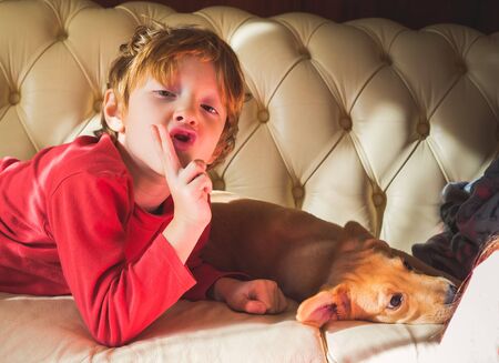 Little blonde caucasian boy playing with his adorable puppy on the couch at home. Winter holidays christmas new year moodの写真素材