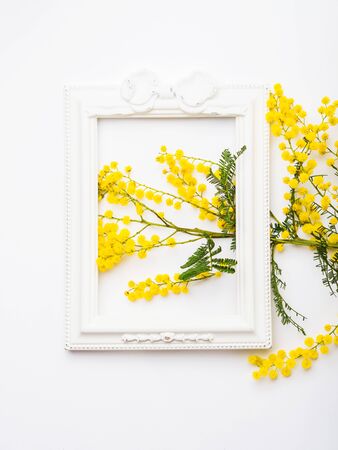 Yellow mimosa flowers in beautiful picture frame on white background. Traditional symbol gift for womans day on March, 8. Holiday conceptの写真素材