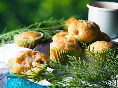 Vegan eggs free spelt wheat muffins with peaches and apples in green paper cases on checkered napkinの写真素材