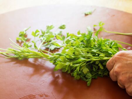 Elderly Italian woman cleaning parsley in the kitchen. Closeup of hands and counter