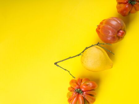 Ugly Italian lemon fruit and tomato vegetables on yellow background. Ugly but delicious organic fruit food conceptの写真素材