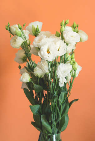 Beautiful white eustoma flowers bouquet on cantaloupe orange background. Trendy design background. Verticalの写真素材