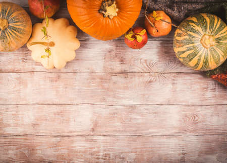Autumn thanksgiving halloween background with different pumpkins and fall fruit on rustic wooden tableの写真素材